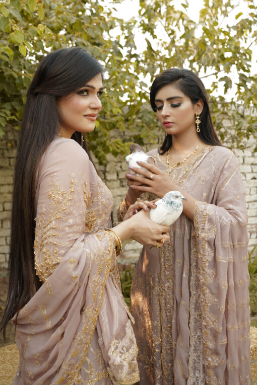 GOWN Dusty Rose Khushboo BLACKWOOD CRINKLE CHIFFON - Image 7