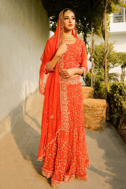 Rameen Red Lehnga - Image 3