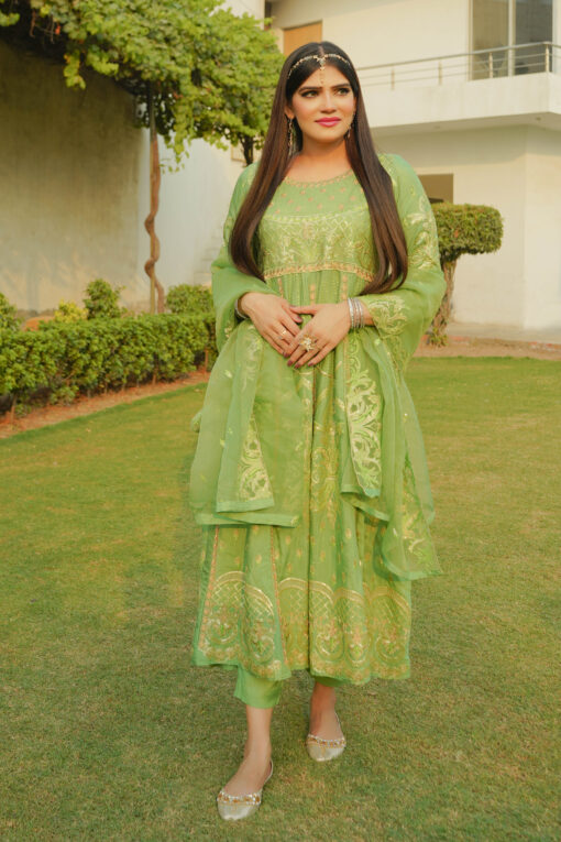 Light Lime Green Frock