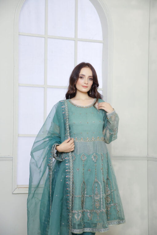 Mint Green Organza EMBROIDERED BR800310 - Image 2