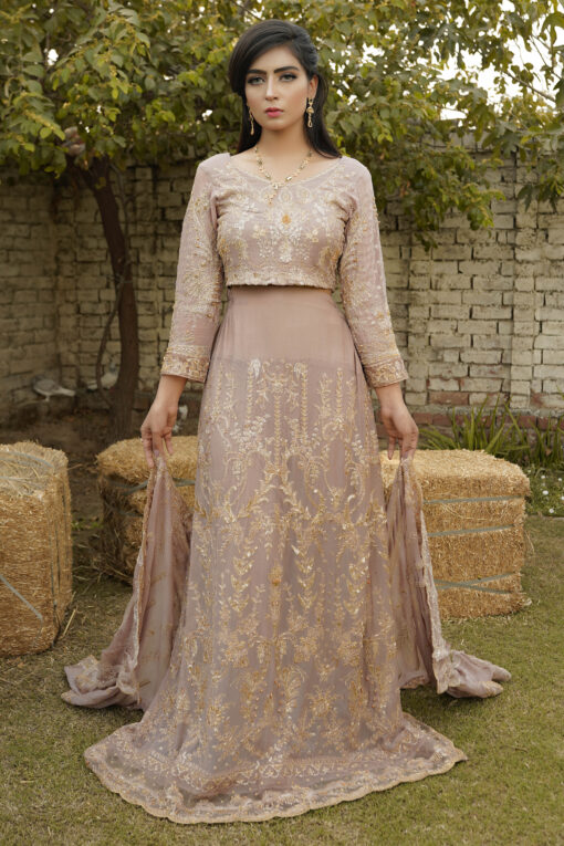 Lehnga Blackwood Chiffon Dusty Rose