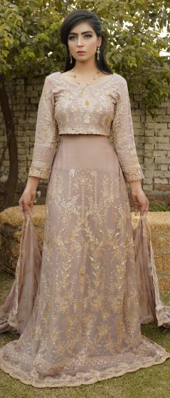 Lehnga Blackwood Chiffon Dusty Rose