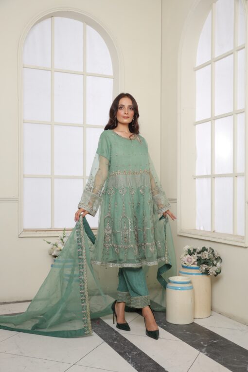 Mint Green Organza EMBROIDERED BR800310 - Image 7
