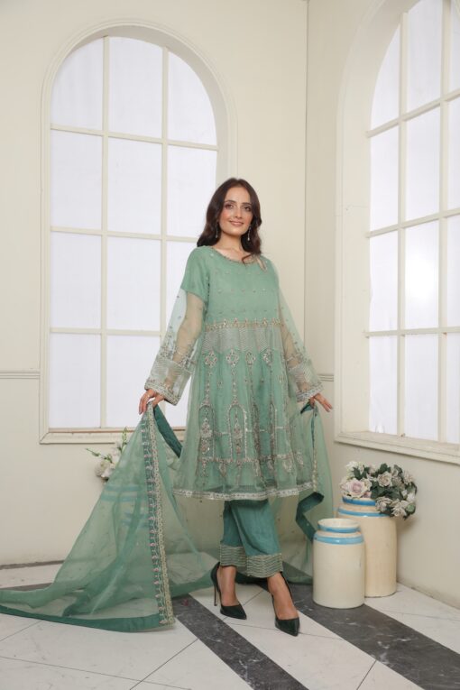Mint Green Organza EMBROIDERED BR800310 - Image 6