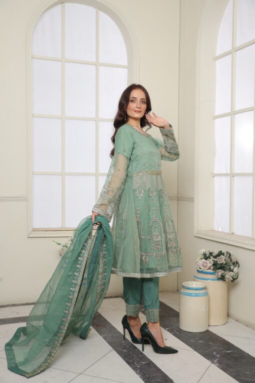 Mint Green Organza EMBROIDERED BR800310 - Image 5