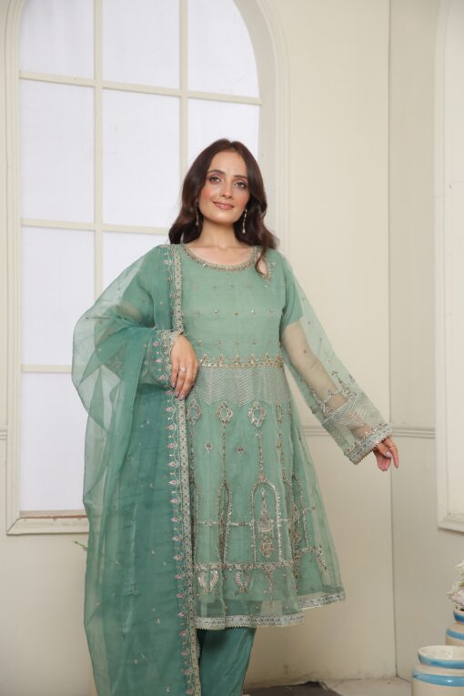 Mint Green Organza EMBROIDERED BR800310 - Image 4