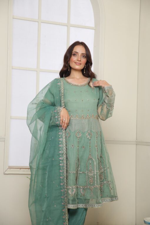 Mint Green Organza EMBROIDERED BR800310 - Image 3