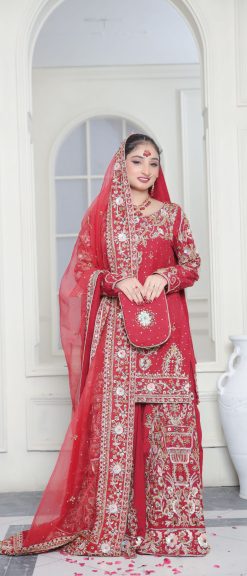 Imperial Crimson Dress