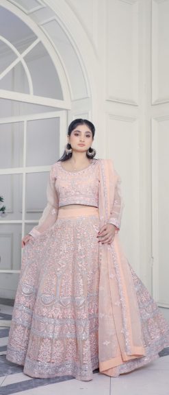 Pink Organza Lehnga