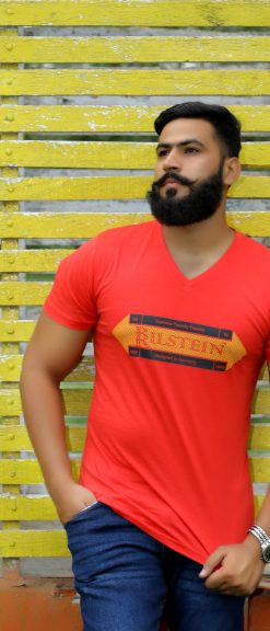 BR Bilstein Logo Print